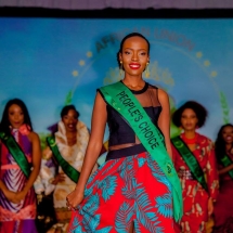 Miss African Union Pageant in Washington DC Miss African Union Pageant in Washington DC