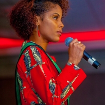 Miss African Union Pageant in Washington DC Miss African Union Pageant in Washington DC