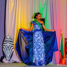 Miss African Union Pageant in Washington DC Miss African Union Pageant in Washington DC