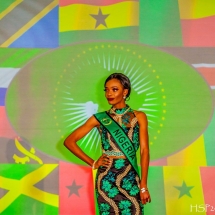 Miss African Union Pageant in Washington DC Miss African Union Pageant in Washington DC
