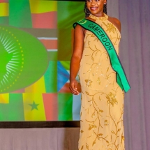 Miss African Union Pageant in Washington DC Miss African Union Pageant in Washington DC