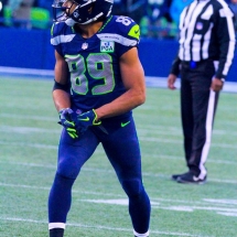 Seattle Seahawks Game Day (Photo By: DC Productions Media Group) Seattle Seahawks Game Day (Photo By: DC Productions Media Group)